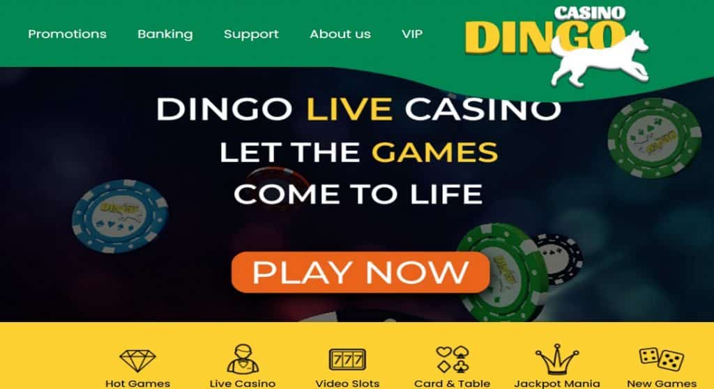 Dingo Casino 1024x559